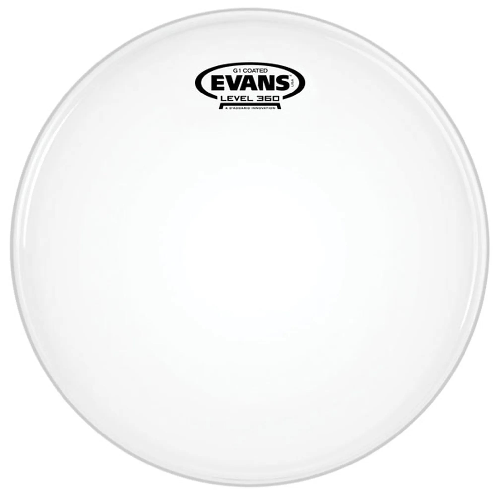 Evans G1 22" Coated