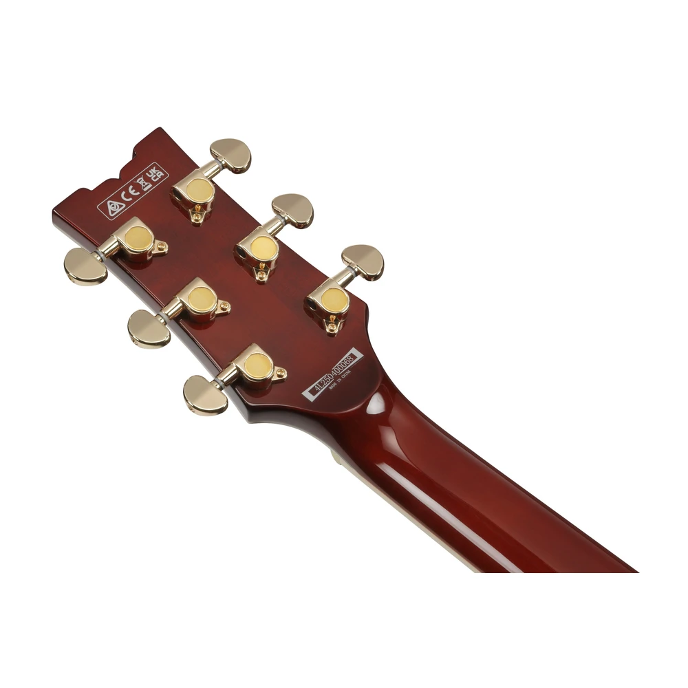 Ibanez AR520HME-NT