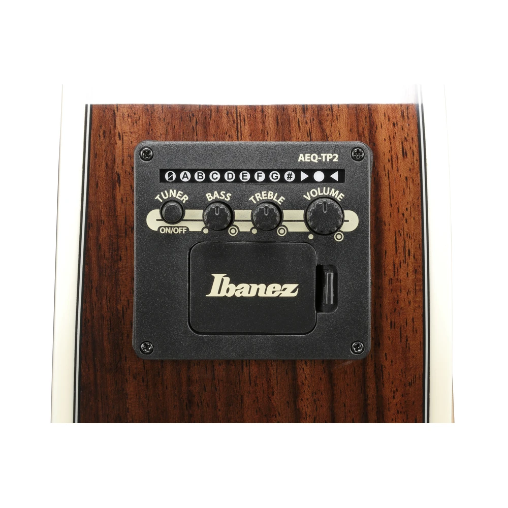 Ibanez AC391RCE-BKH - Limited