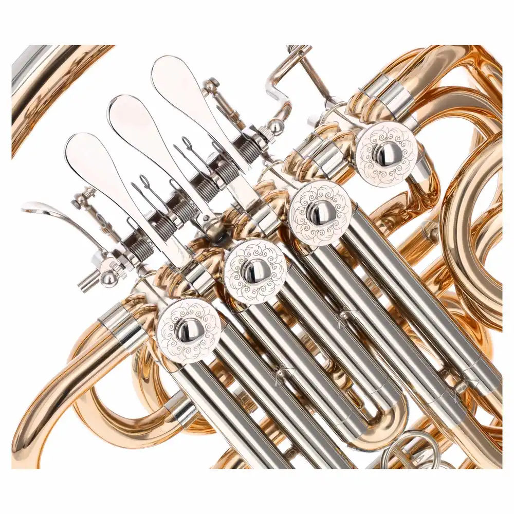 Reisser Academia RDH-801G
