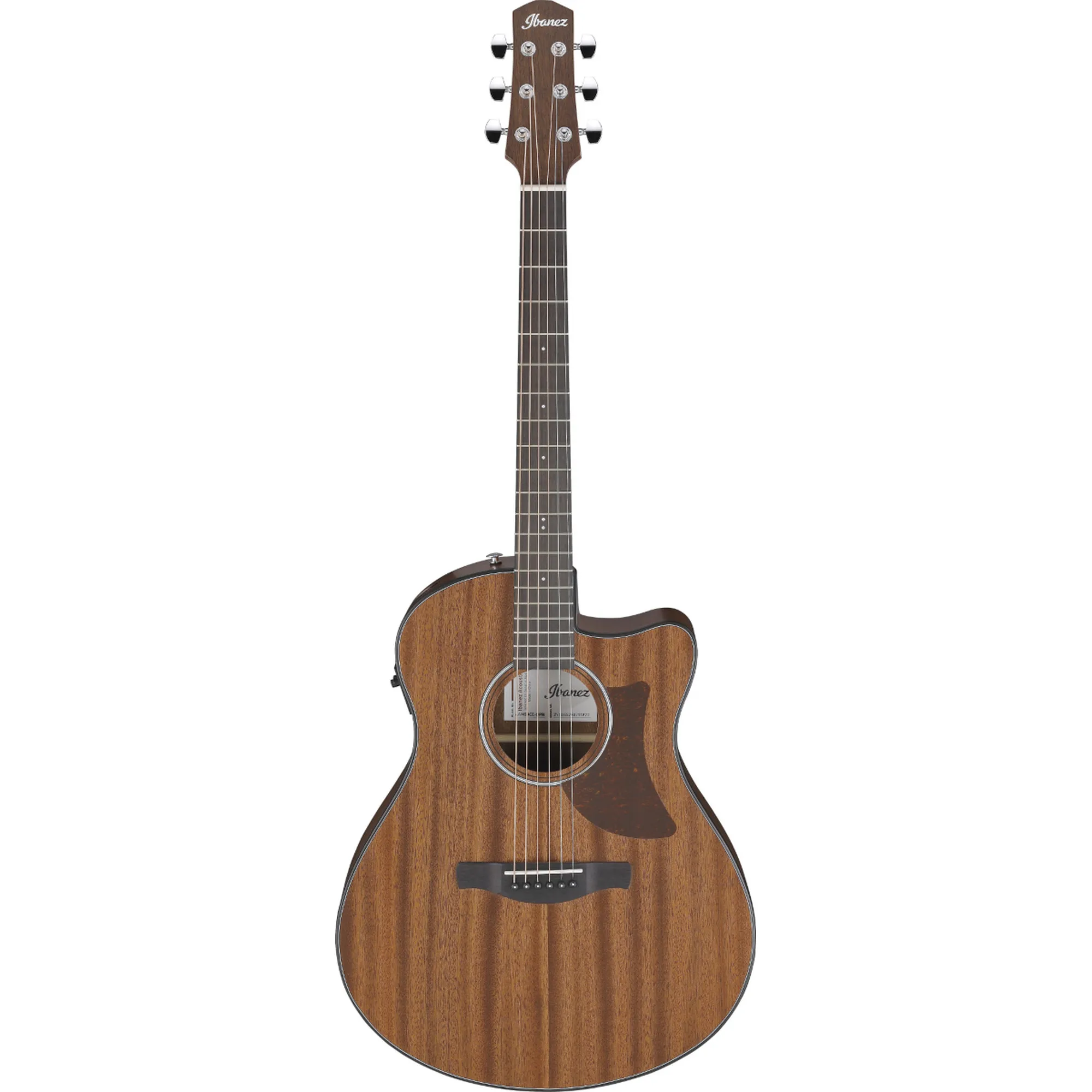 Ibanez AAM54CE-OPN