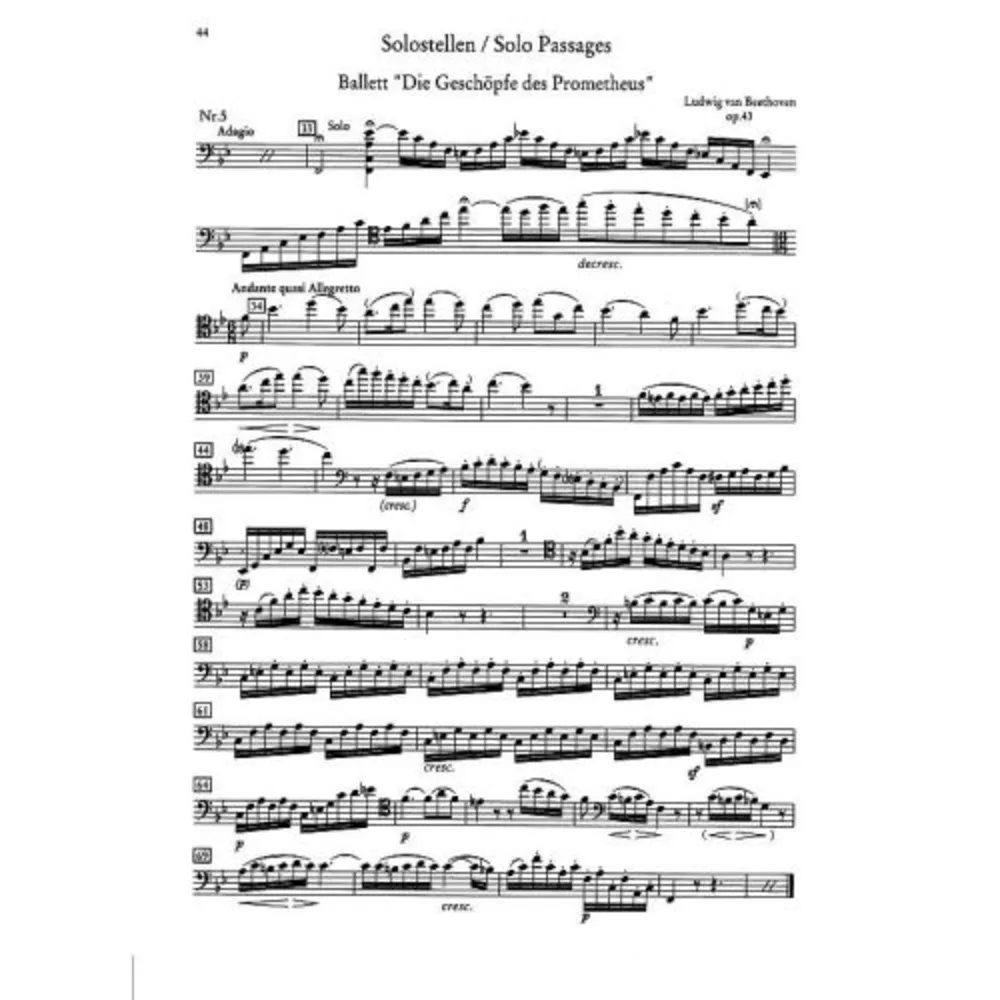 ORCHESTER PROBESPIEL Cello