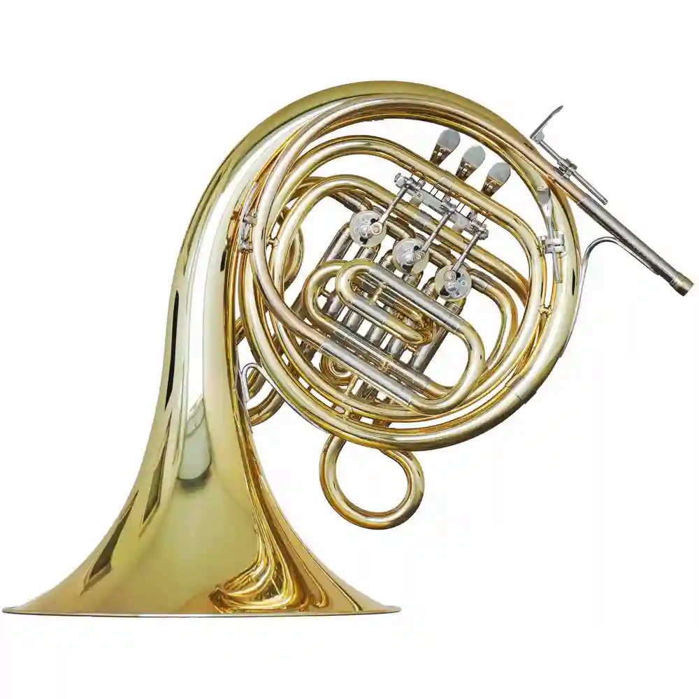 Hans Hoyer 270-L