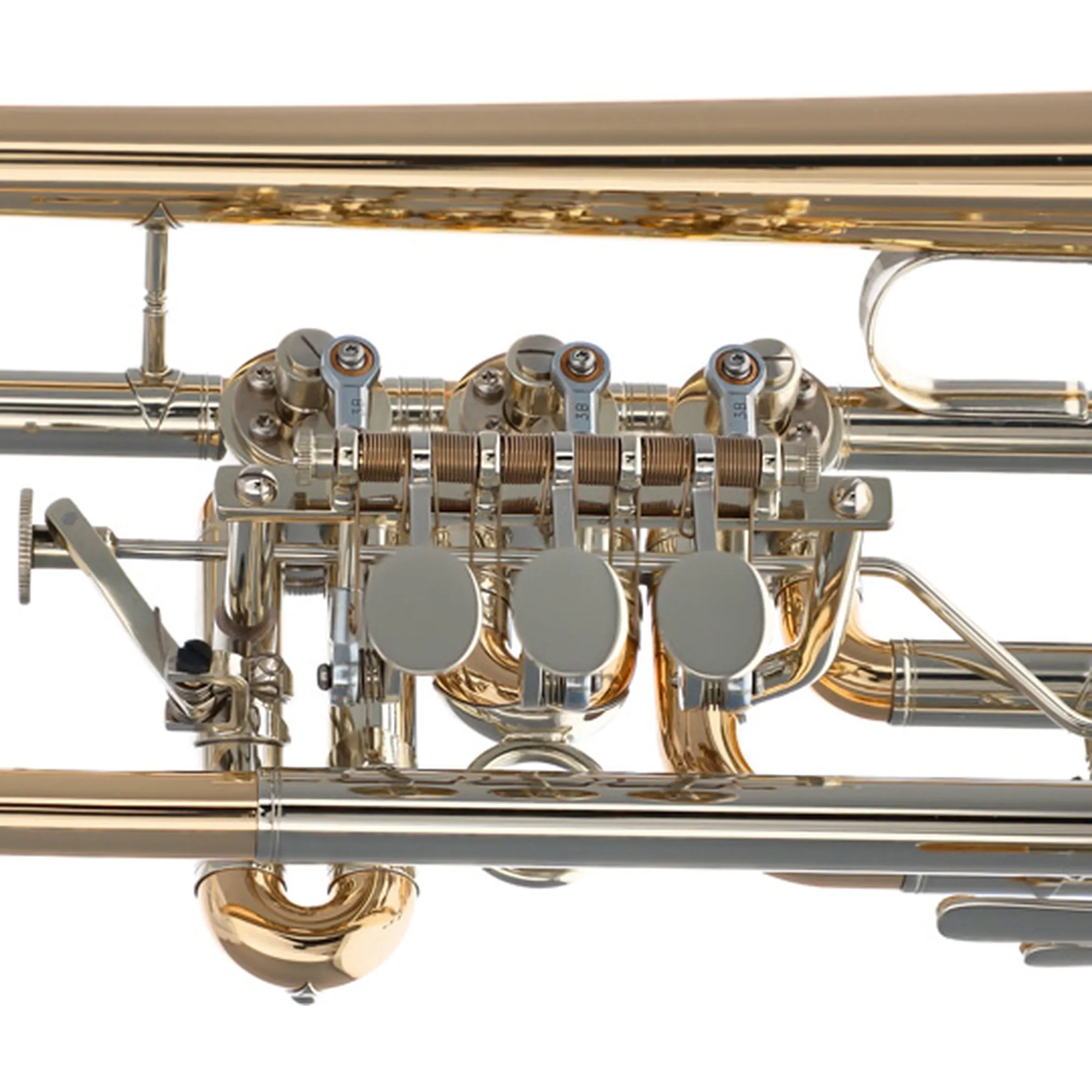 Scherzer 8218W-L