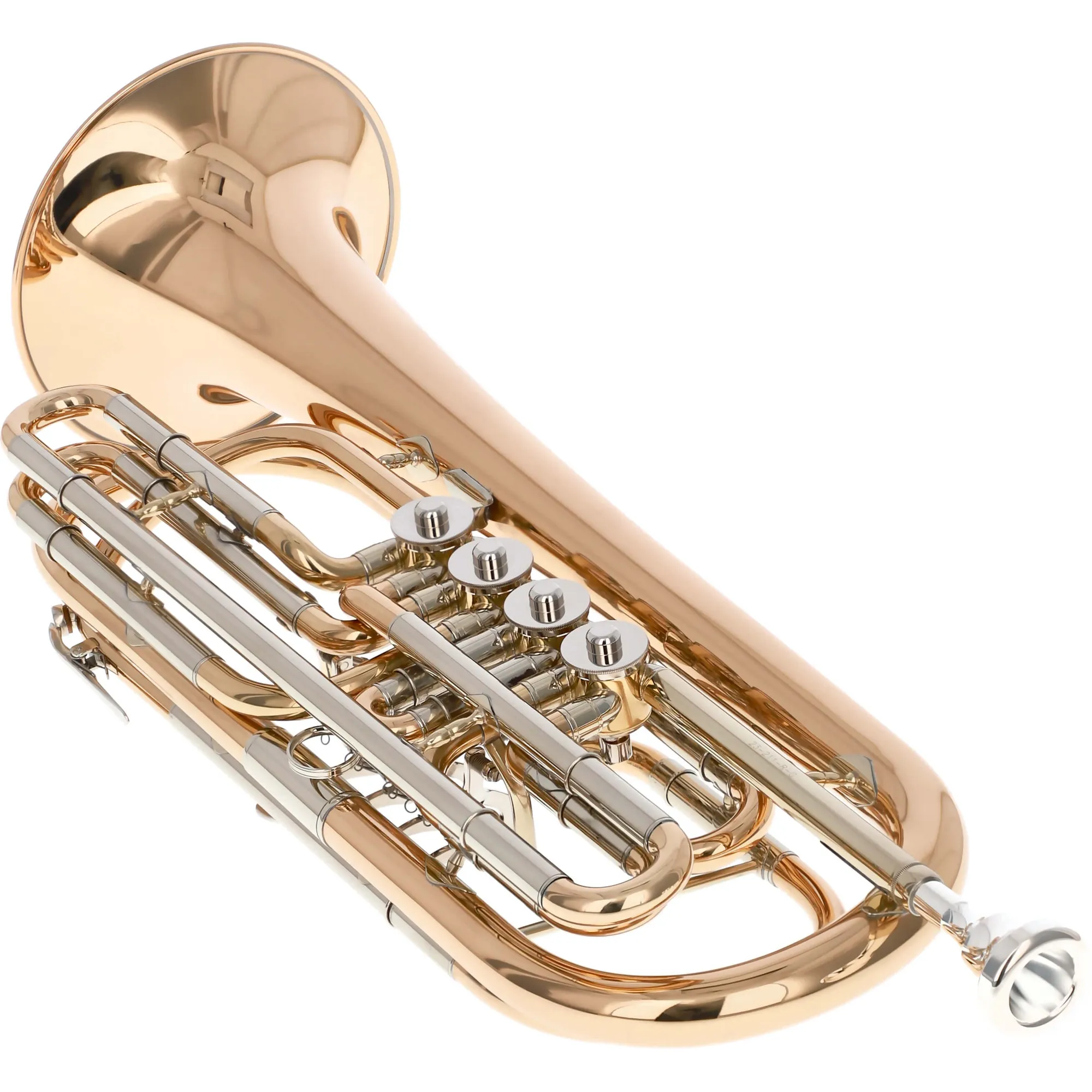 Reisser Academia RBT-48G