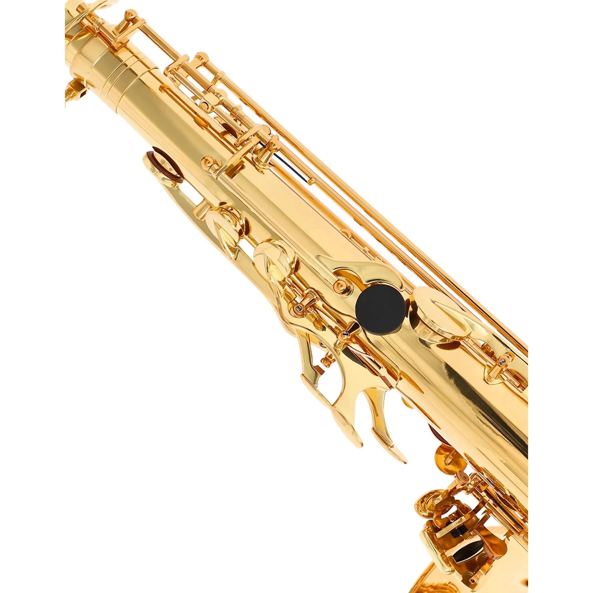 Reisser Academia RTS-48 II