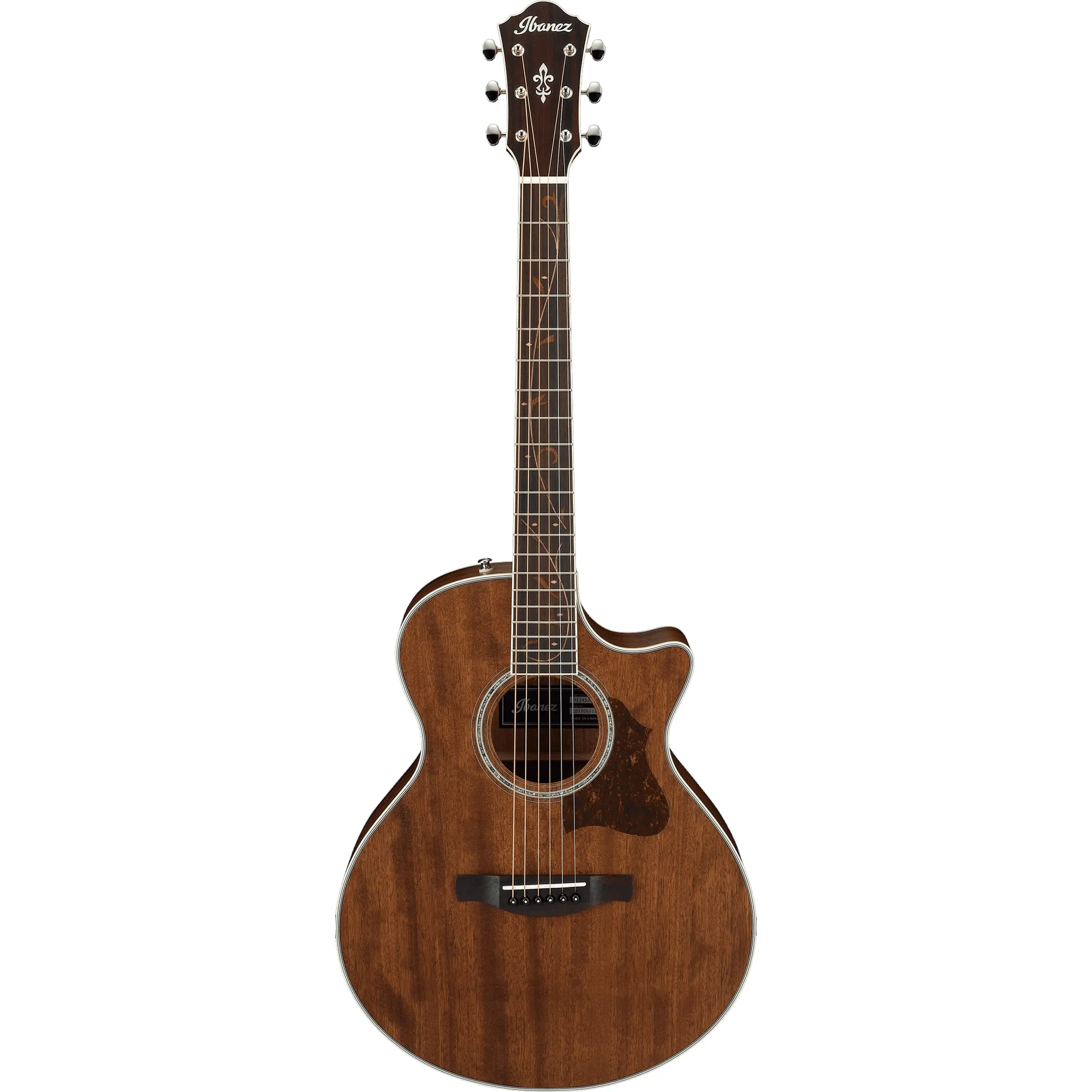 Ibanez AE245JR-OPN