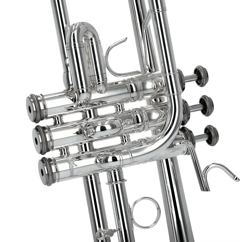 Stomvi Titan 5521
