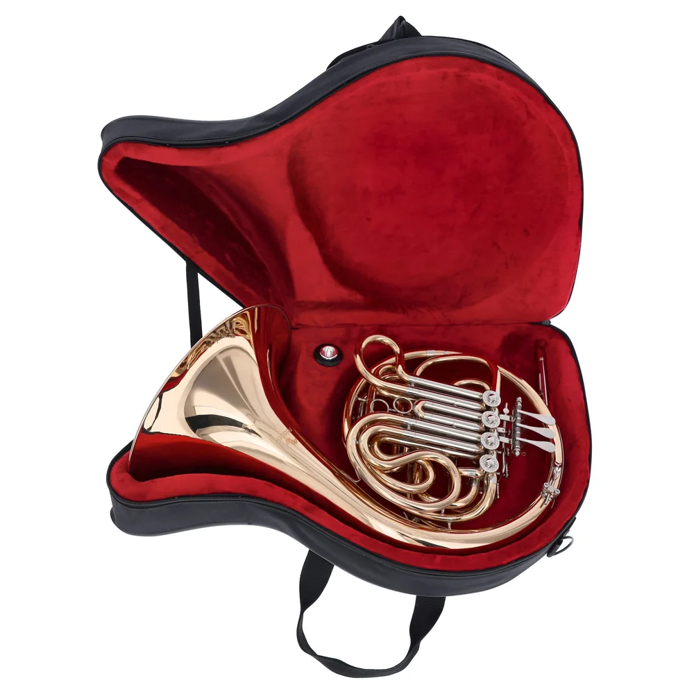 Reisser Academia RDH-801G