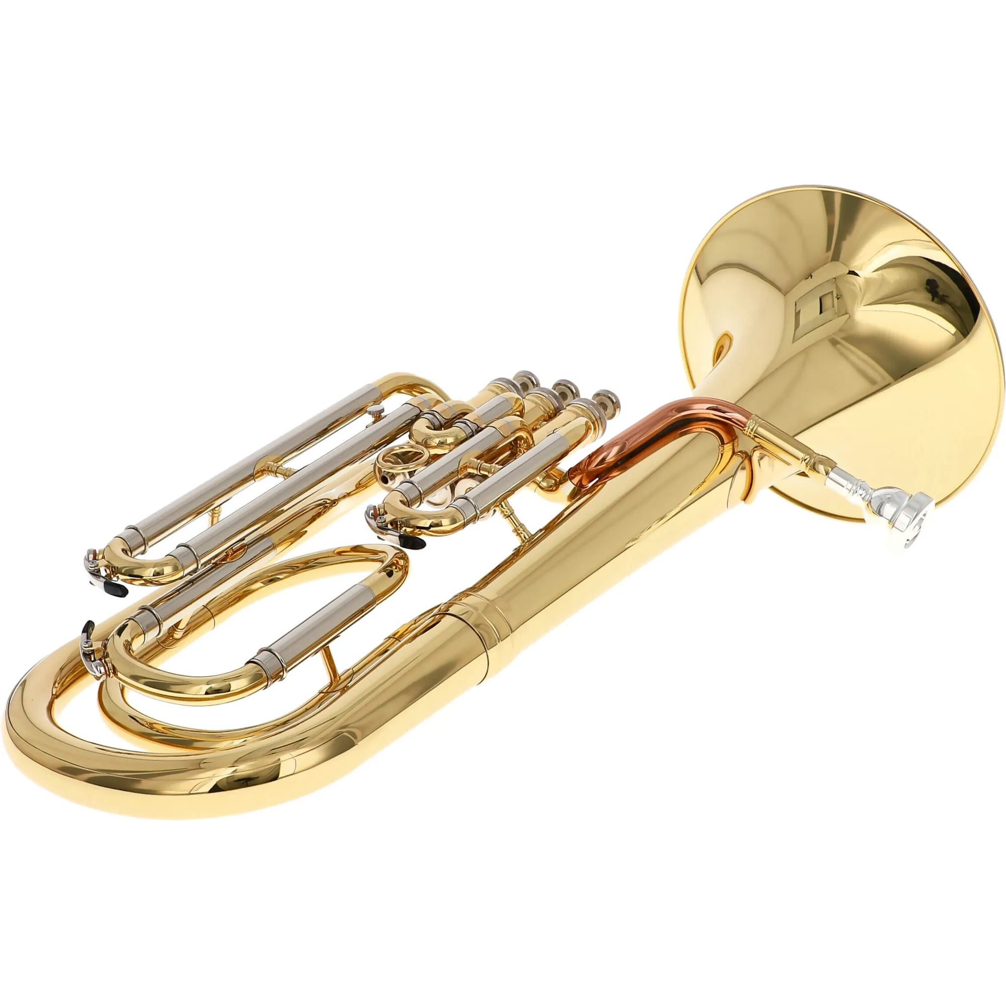 Reisser Academia RBH-301