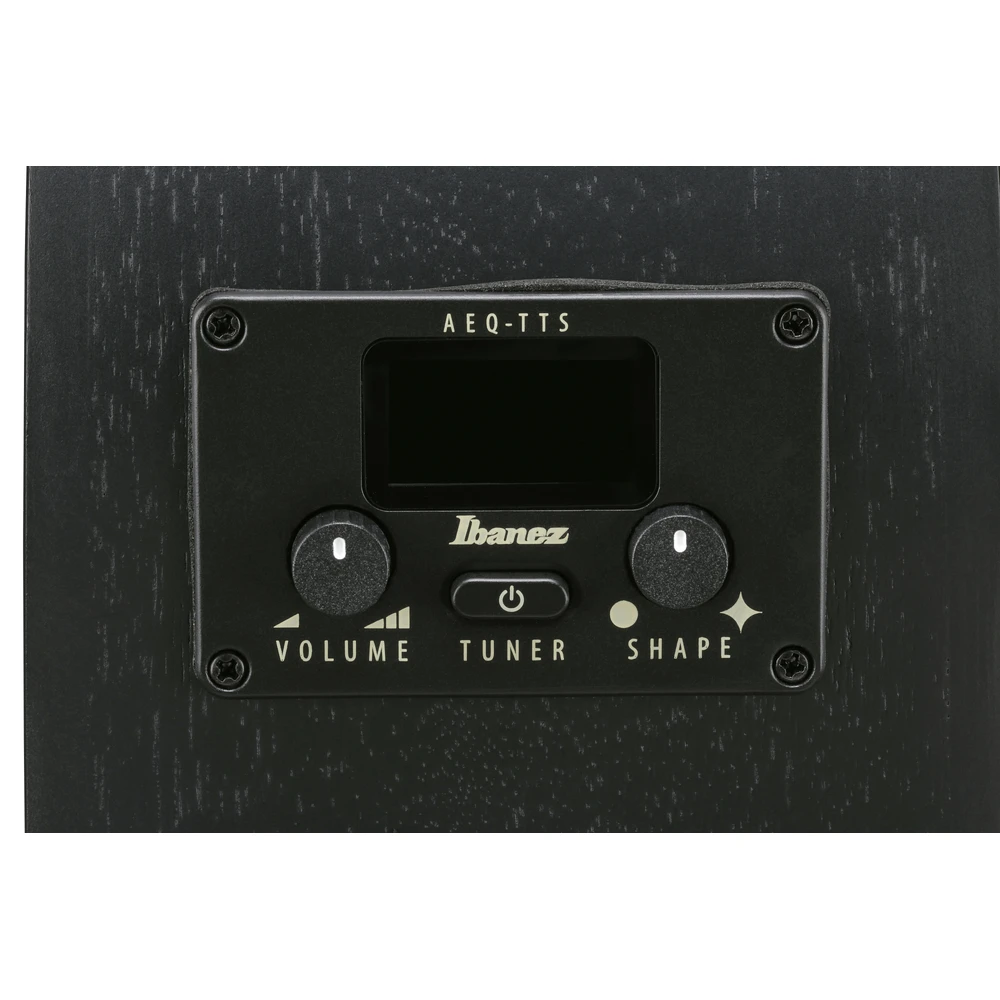 Ibanez AEG621-BOT