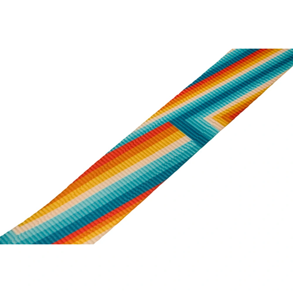 Fender Retro Rainbow