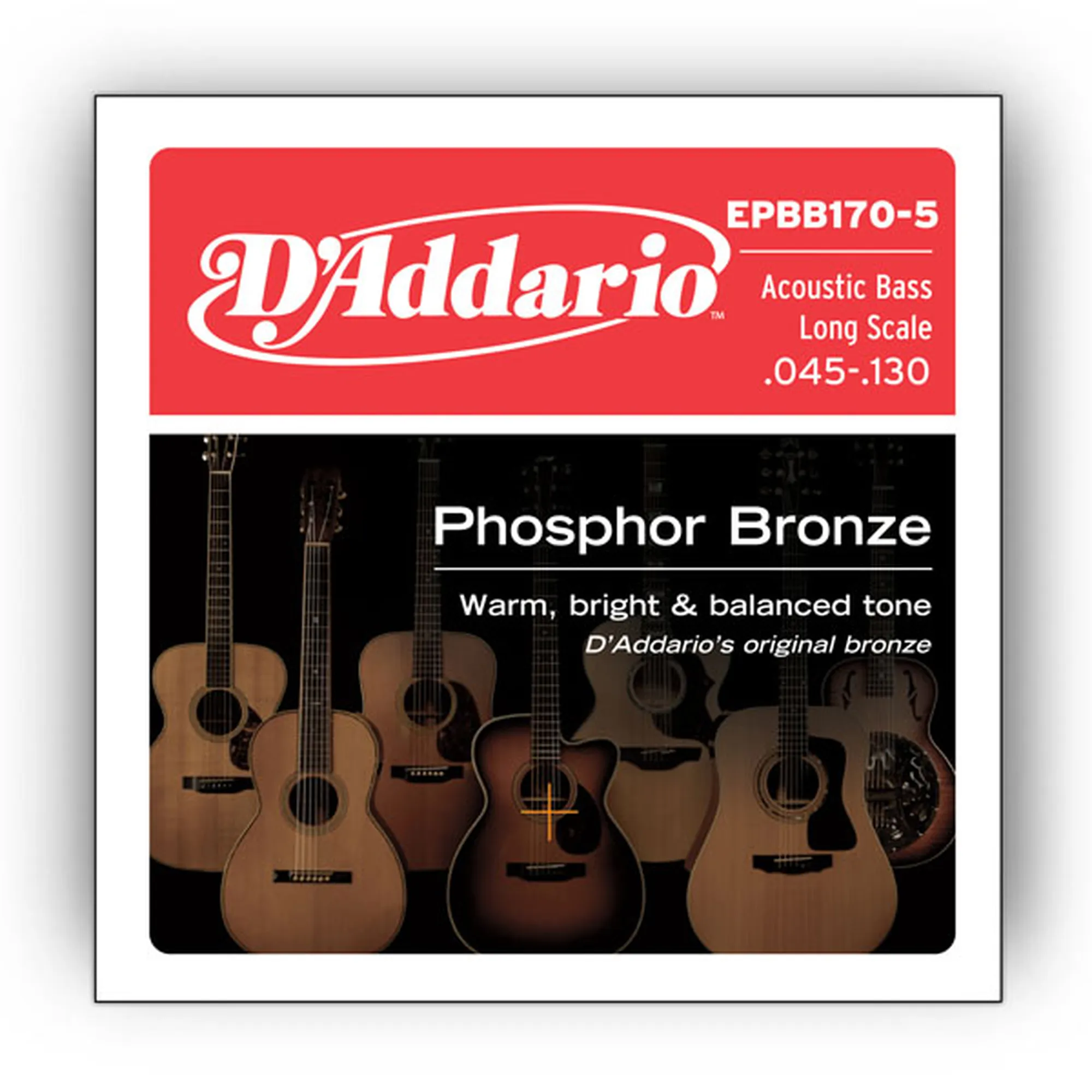 D´Addario EPBB170-5 Bronze Acoustic Bass 5-String